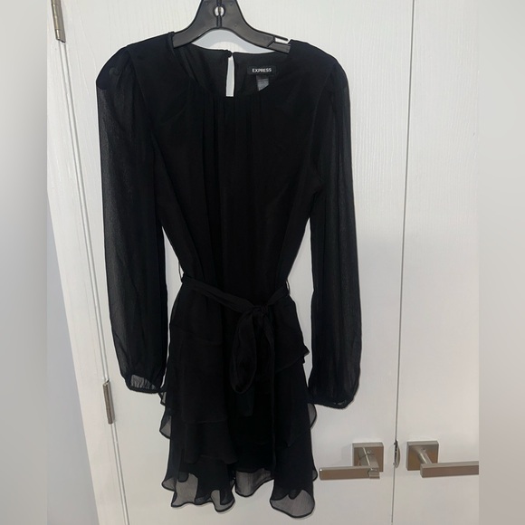 Express Dress | Long Sleeve Tie Waist Tiered Ruffle Mini Dress | Sheer | Small - Picture 5 of 8
